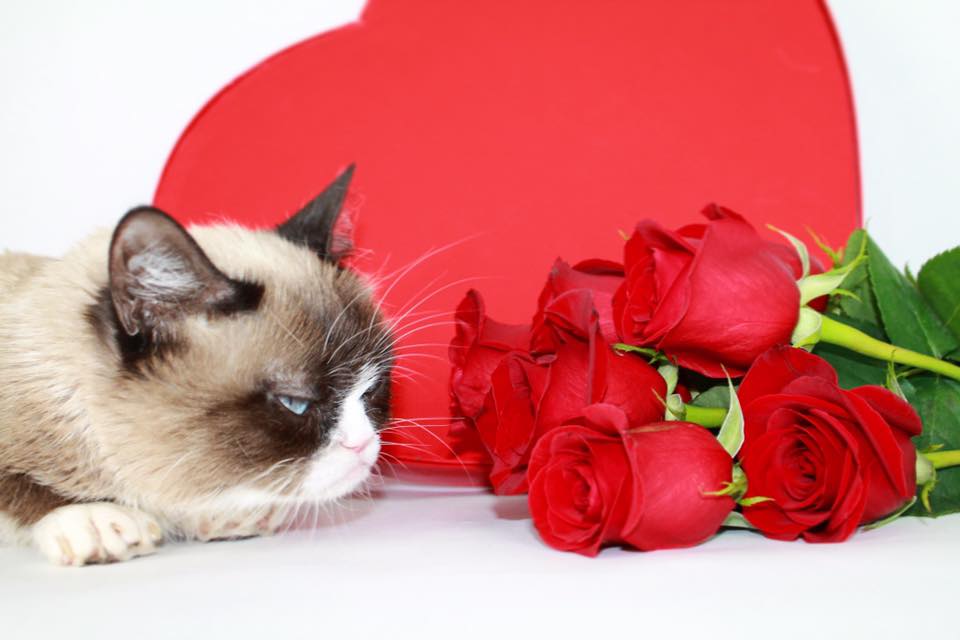 grumpy valentine