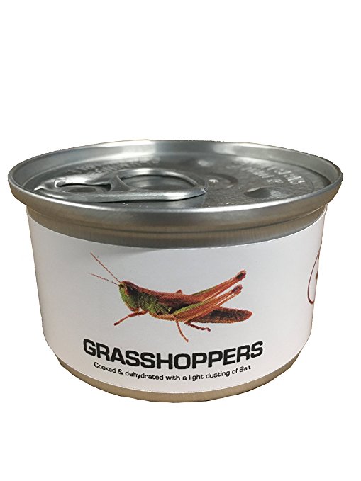 canned grasshopper