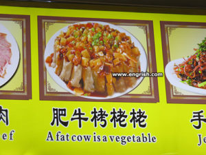 a fat cow is vegetable